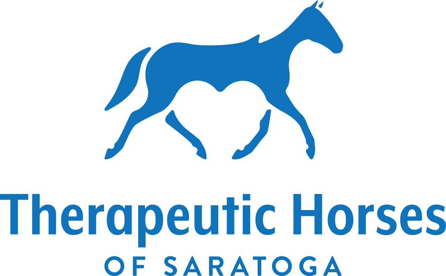 Therapeutic Horses of Saratoga