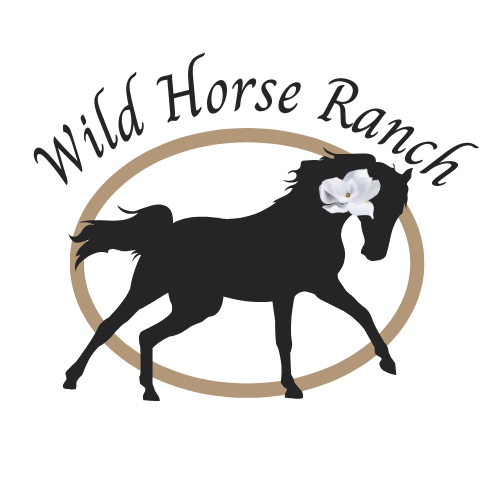 Wild Horse Ranch Sanctuary 