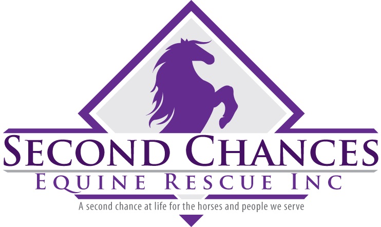 Second Chances Equine Rescue