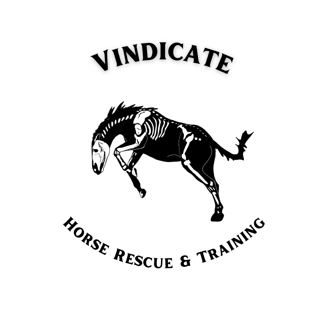 Vindicate Horse Rescue & Training