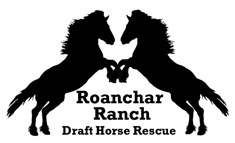 Roanchar Ranch Draft Horse Rescue