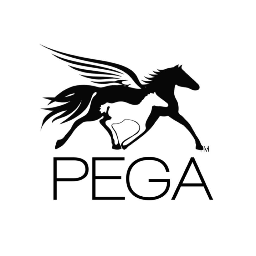 Pegasus Equine Guardian Association